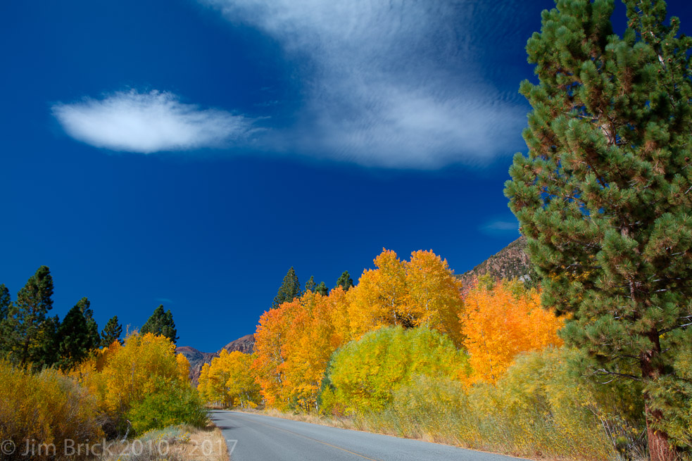 Fall colors along Lundy Lake Road, near Lundy Lake