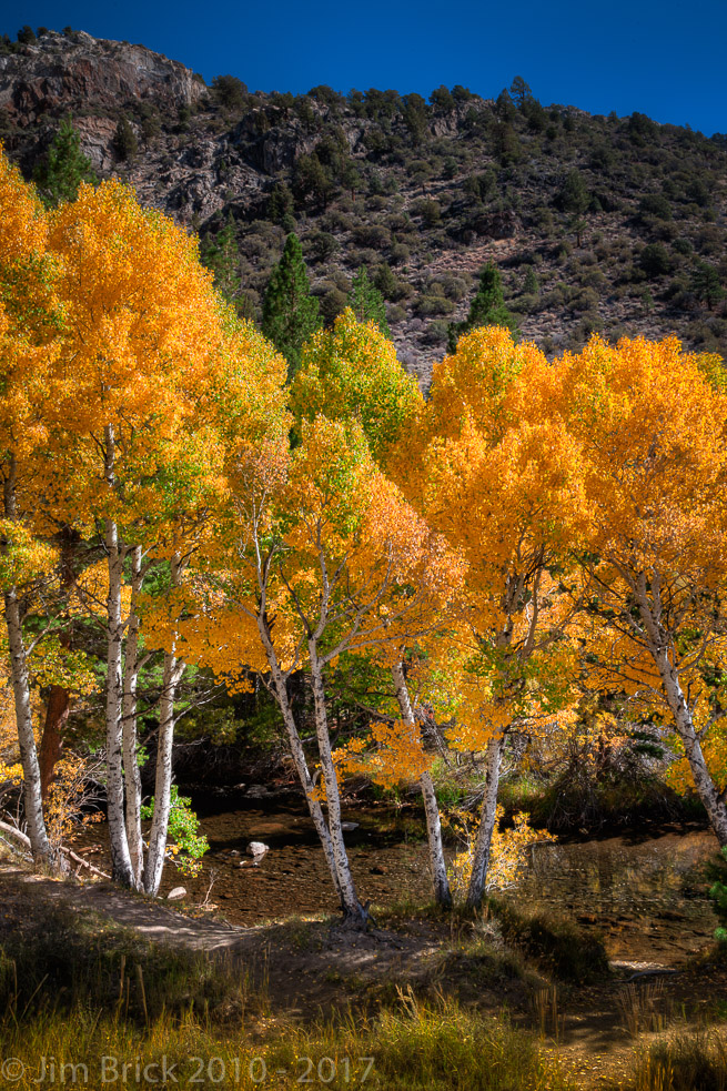 Fall Color along Rush Creek, June Lake Loop