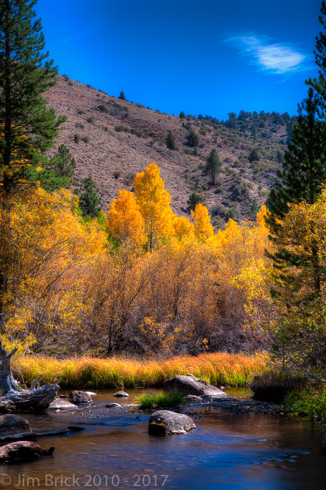 Fall Color along Rush Creek, June Lake Loop