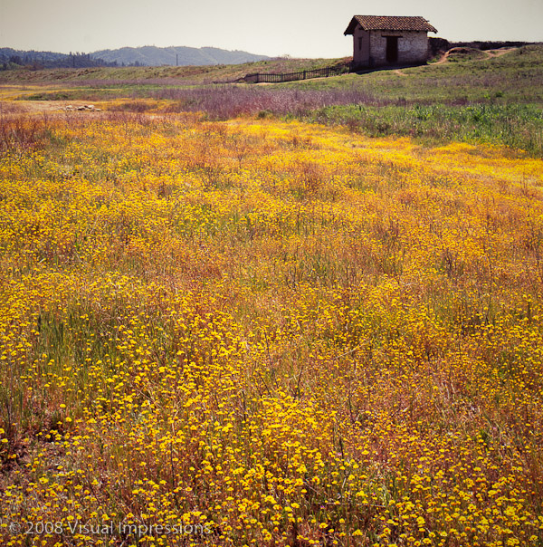 Fujichrome Velvia 50 Film