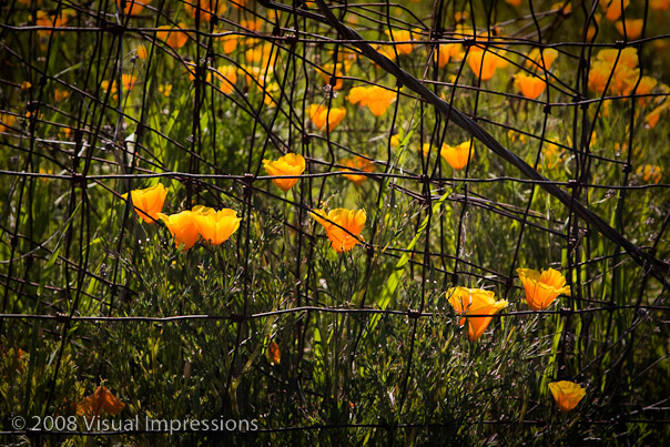 1/500 sec at f / 8.0,  92 mm