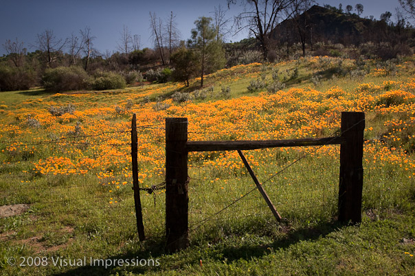 1/125 sec at f / 16,  32 mm