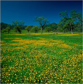 workinfo_hunterliggettfields image