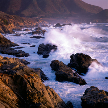 work_big_wave image