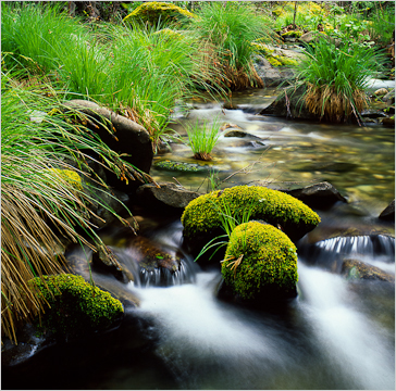 work_nacimientoriver image