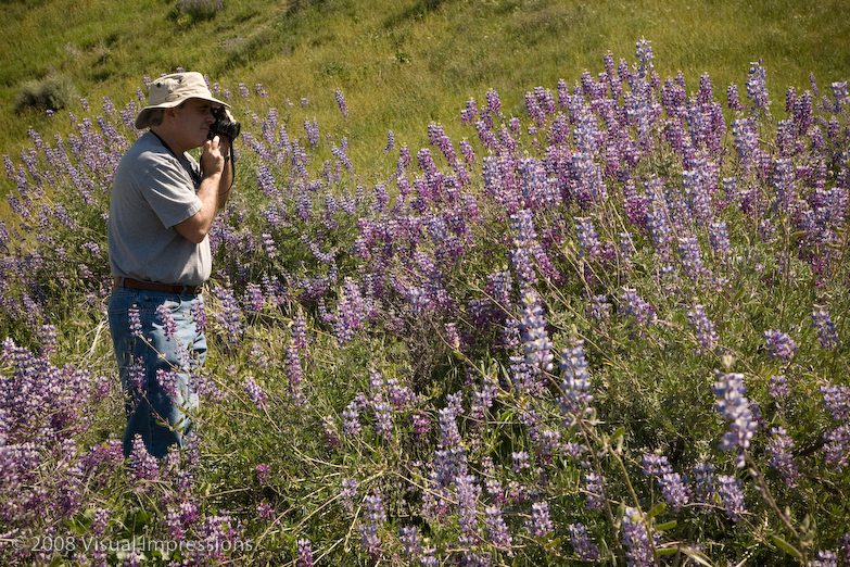 nil