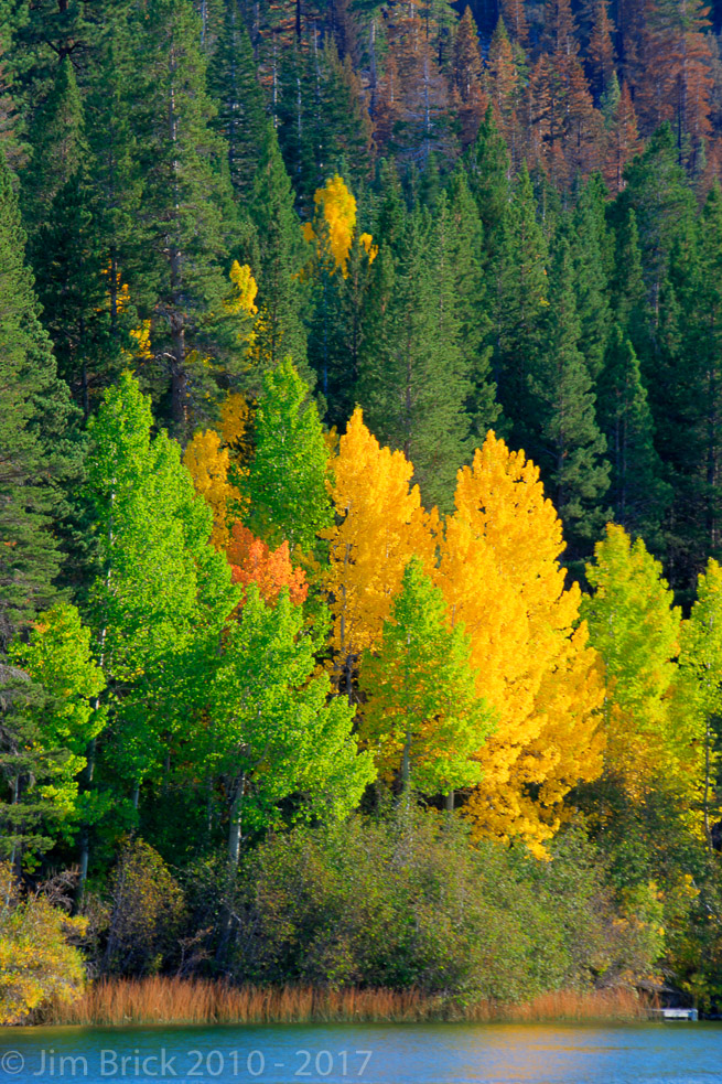 Colors along the edge of Gull Lake, along the June Lake Loop