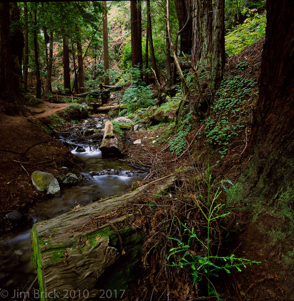 Rollei SL66, 250mm HFT Sonnar lens., 40mm HFT FLE lens, Fuji Velvia 50 film, Scheimpflug used.